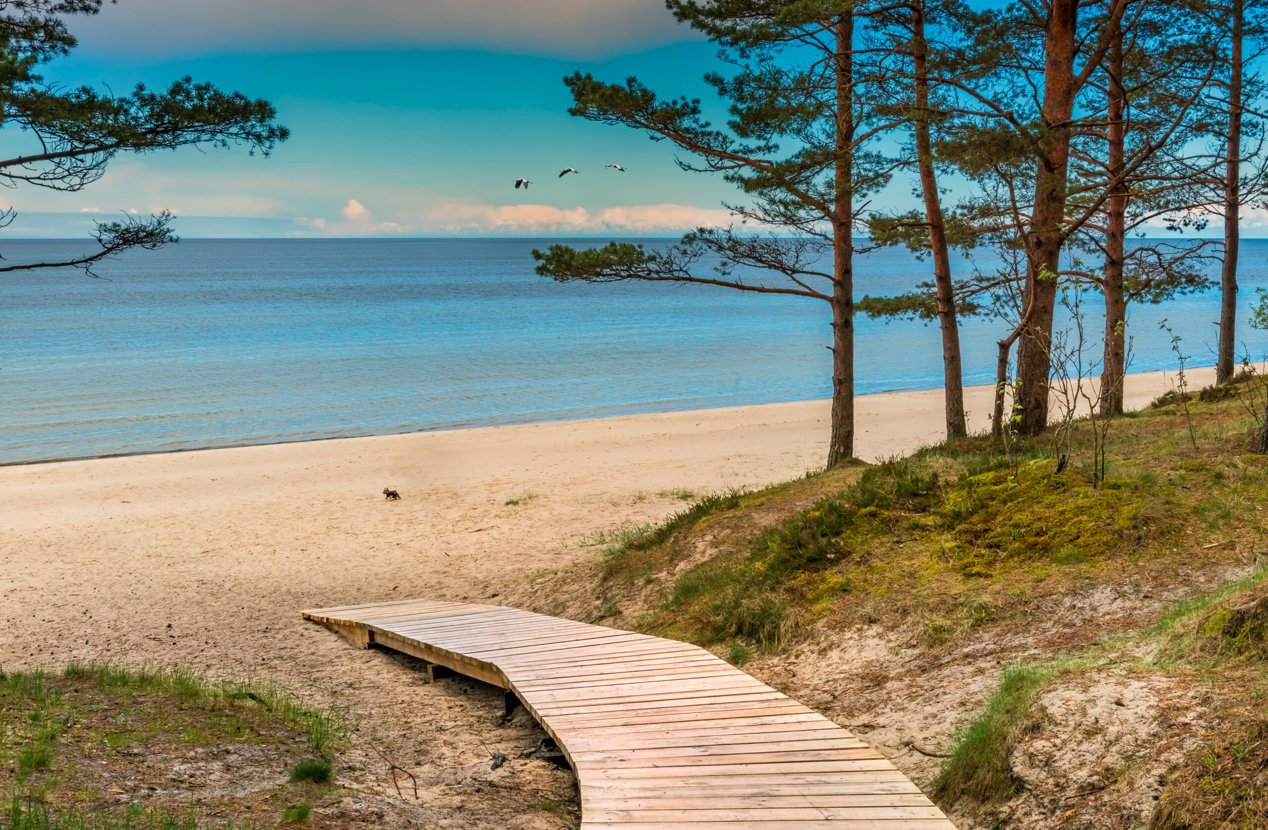 sandy,beach,of,jurmala,famous,international,resort,in,baltic,region