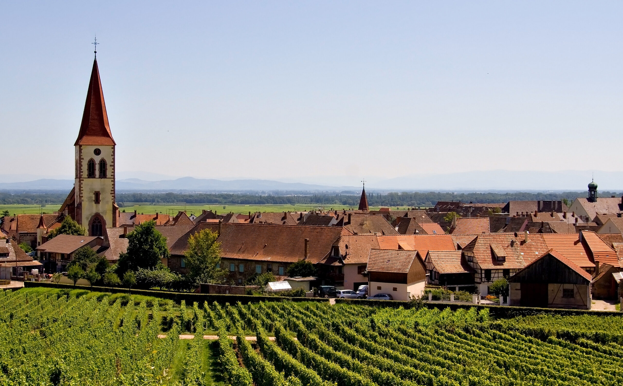 beautiful,scene,of,alsace,wine,road,(ammerschwihr kayserberg,,france)