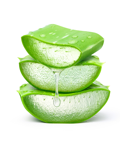 stack,of,aloe,vera,sliced,with,gel,dripping,isolated,on