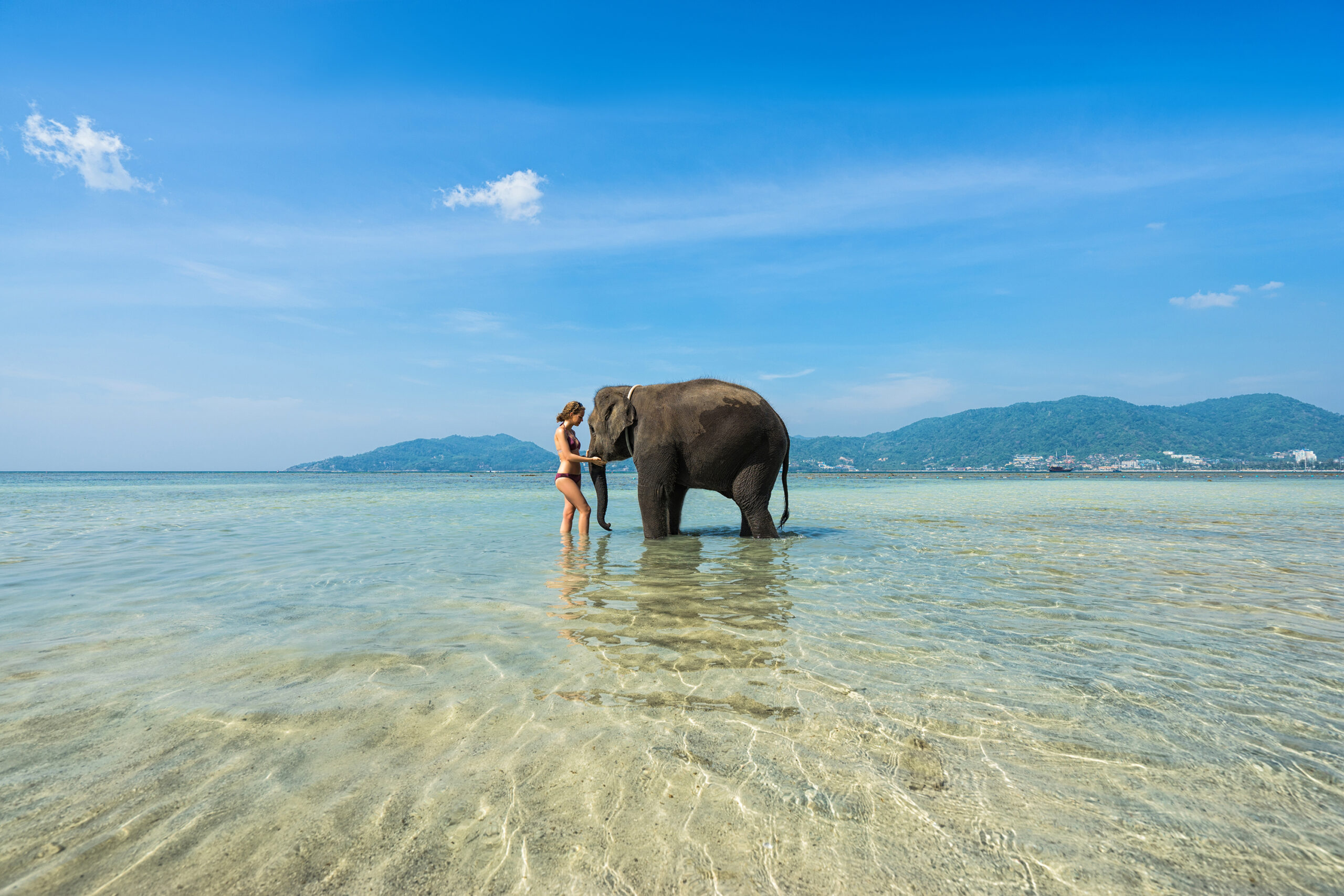 woman,and,elephant,in,the,sea.,thailand,vacation