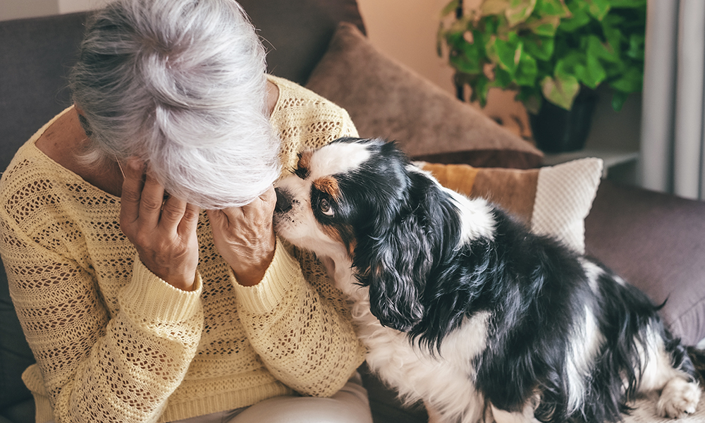 sad,senior,woman,sitting,on,sofa,at,home,with,hands