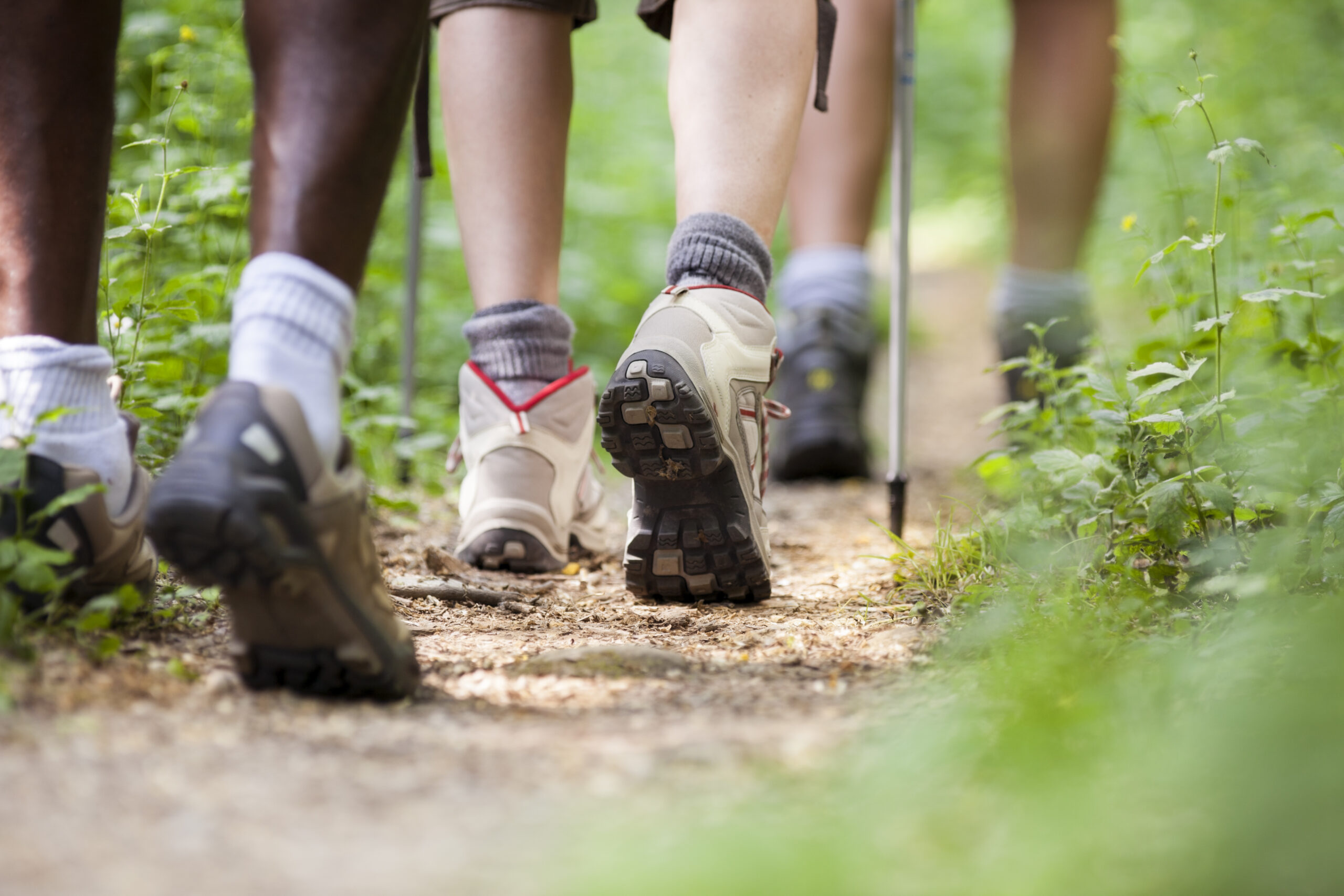 group,of,man,and,women,during,hiking,excursion,in,woods,