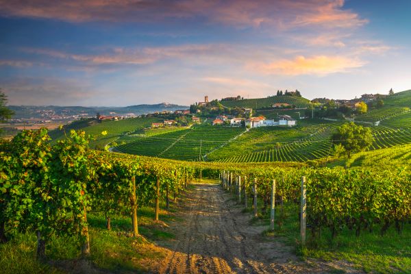 barbaresco