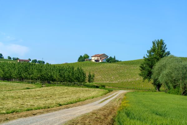 nizza.monferrato2
