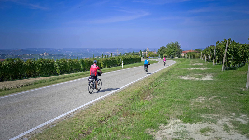 piemontebarberabarolony 09