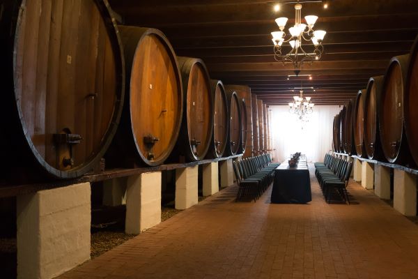 cape winelands5