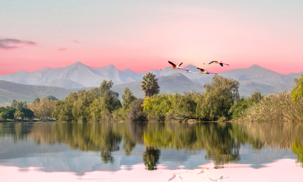 breede river valley istock 13245464781 1000x600