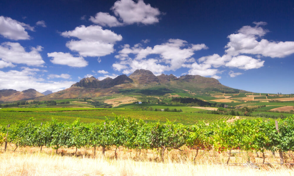 cape winelands shutterstock 137410421 1000x600