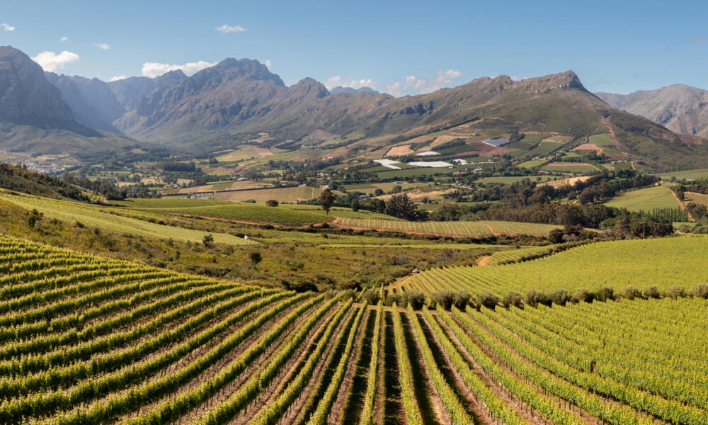 capetown winelands 1000x600