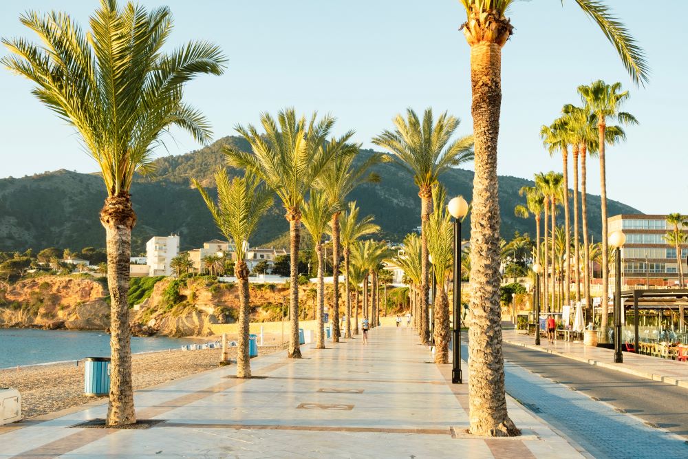 albir2