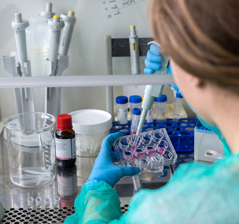 young,woman,pipetting,sample,for,analyzing,results,after,human,cells