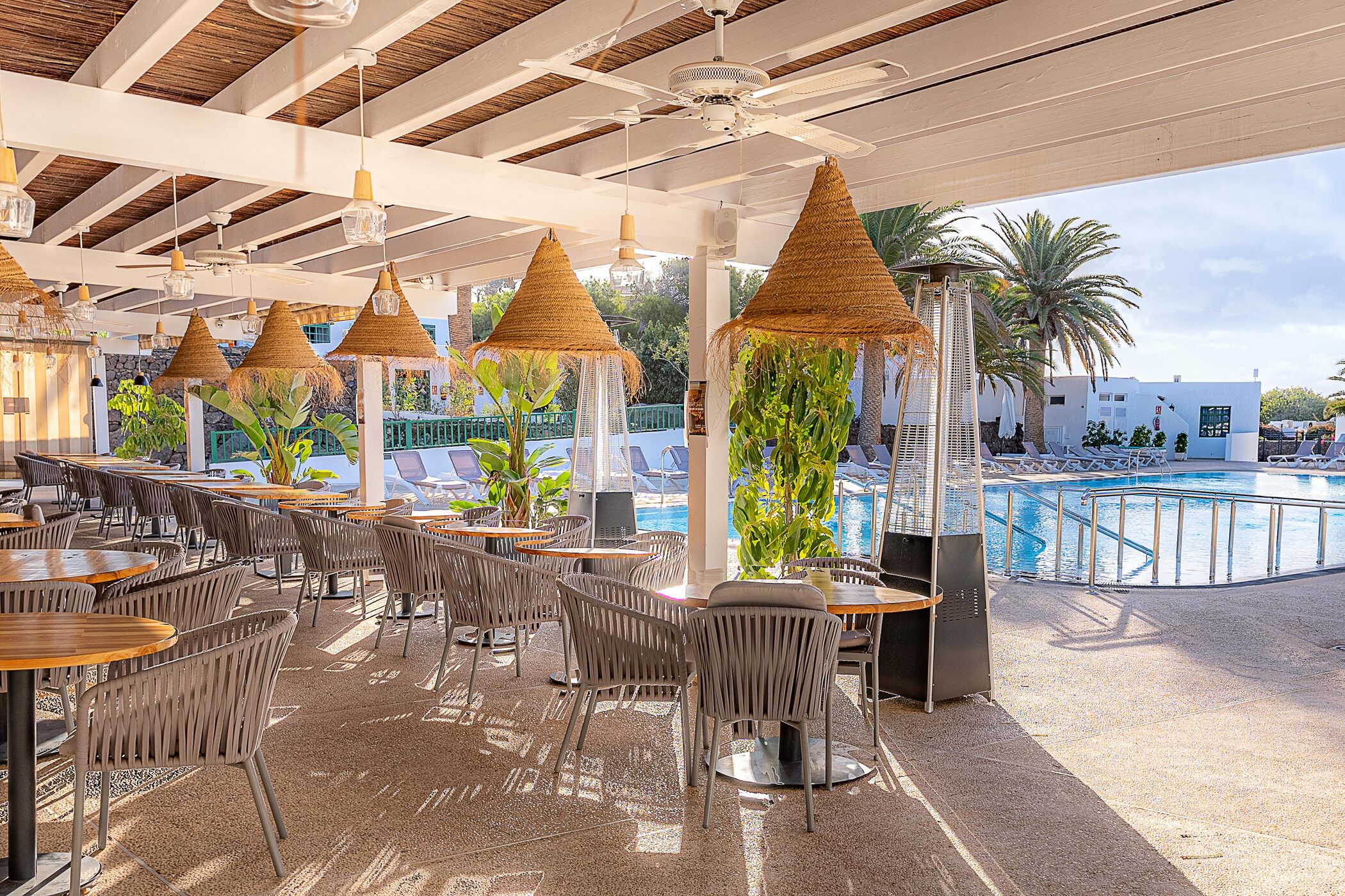 mocan restaurant ol6g3plx2m
