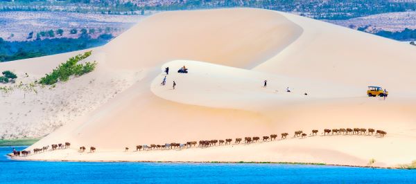 mui.ne (1)