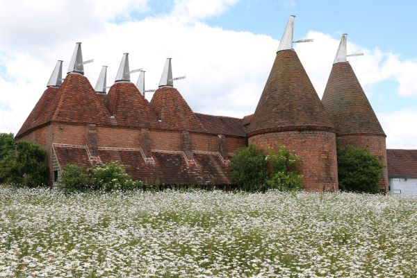 sissinghurst castle.hvite hage