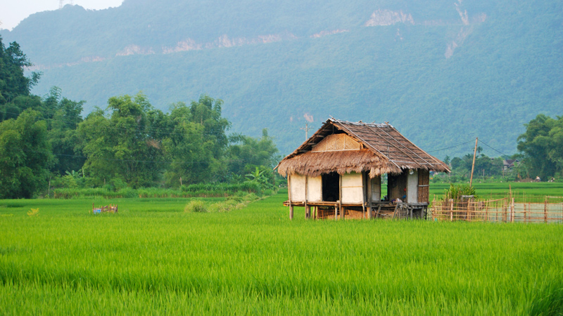 vietnam rismarker og kyst gruppetur sykkeltur olivenreiser 15