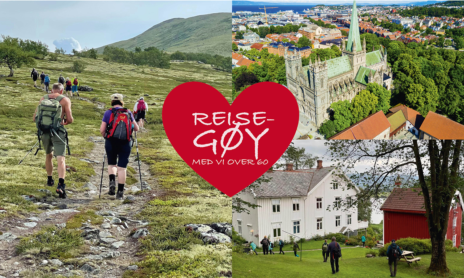 hovedbilde dovrefjell