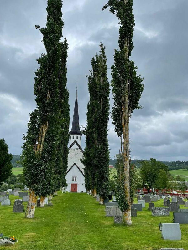 imhxtm91nquyyppl2u9iq0rrrj dy tlts 0vs5hcq 1536x2048 495a0201dd98805e9cc88e417401610d (1)