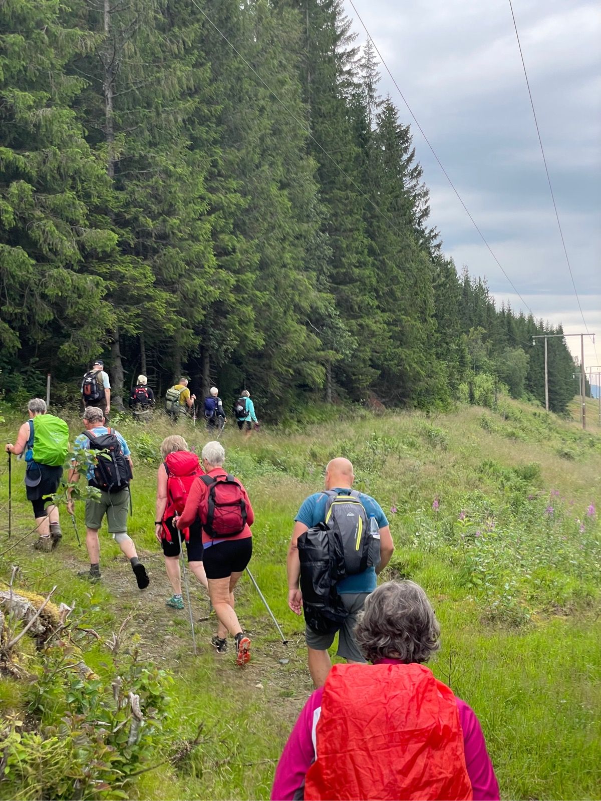 mbiwqwzwite mxlcn6bwkc2tecizvafc62cwblwpgpe 1536x2048