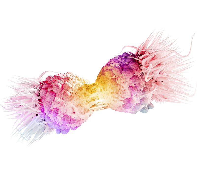 magnification,of,a,cancer,cell,division.,mutations,in,genes,can