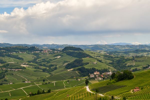 barolo (lower right) and monforte d'alba (top left)