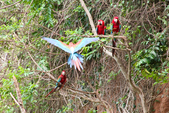 inka trail jarle tra dagsprogram 4