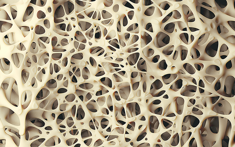 bone,spongy,structure,close up,,healthy,texture,of,bone