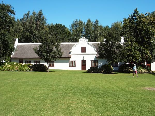 blaauwklippen vineyard600