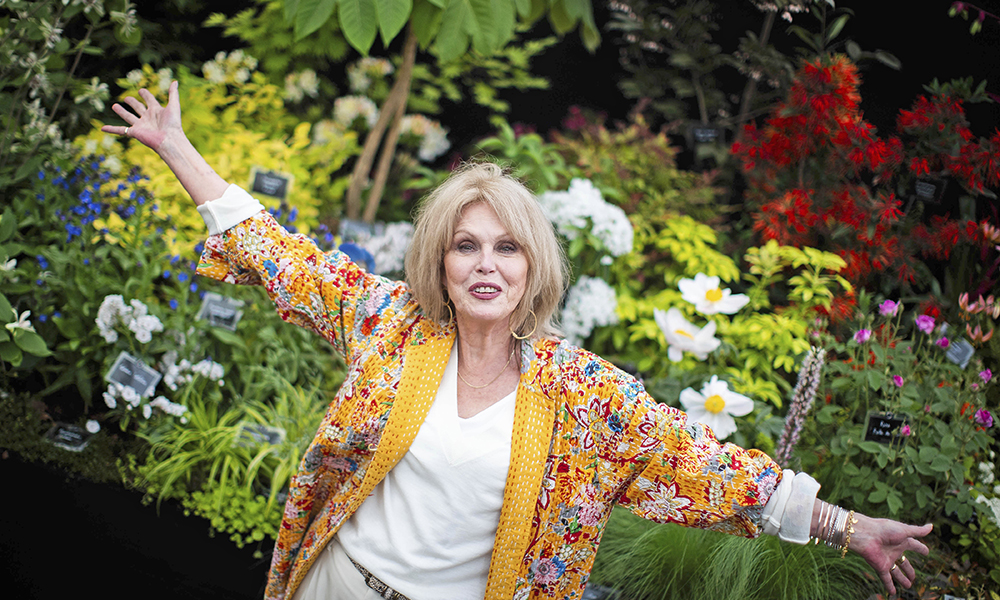 chelsea flower show 2025