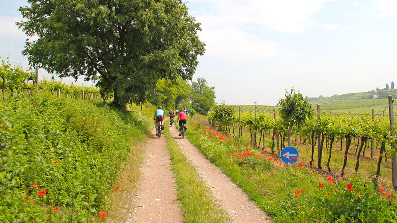 sykkeltur gardasjøen til venezia gruppetur italia 06