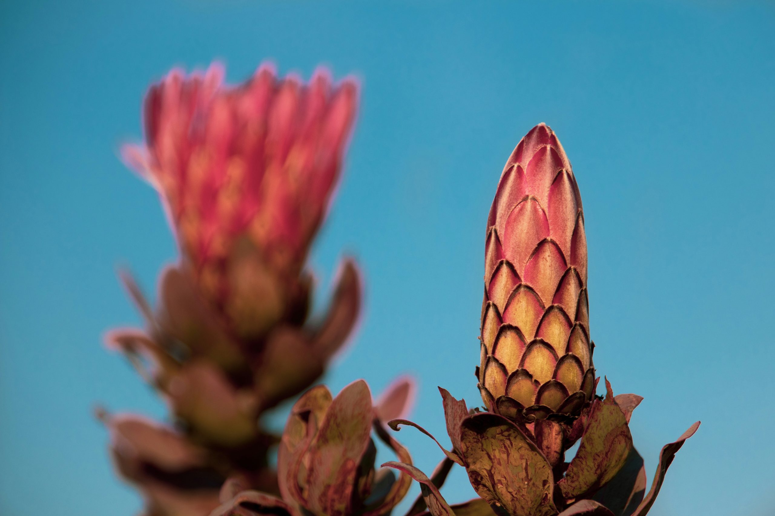 gregory fullard wbuntqgenl4 unsplash 1 scaled