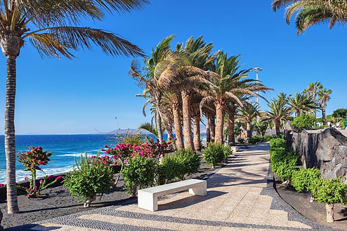 puerto del carmen
