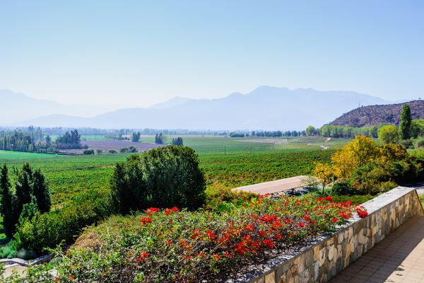 maipo dalen4