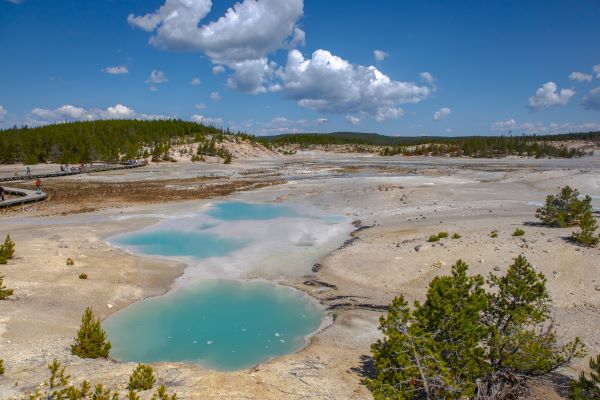 norris.geyser1