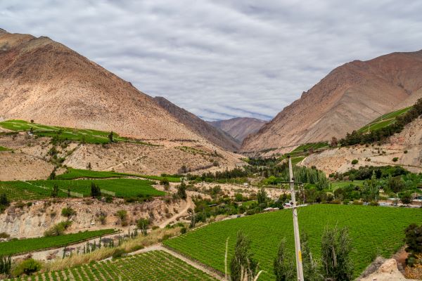 pisco elqui valley
