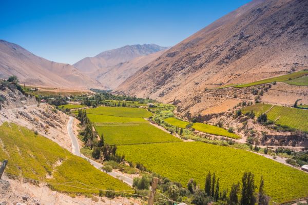 pisco elqui valley 9