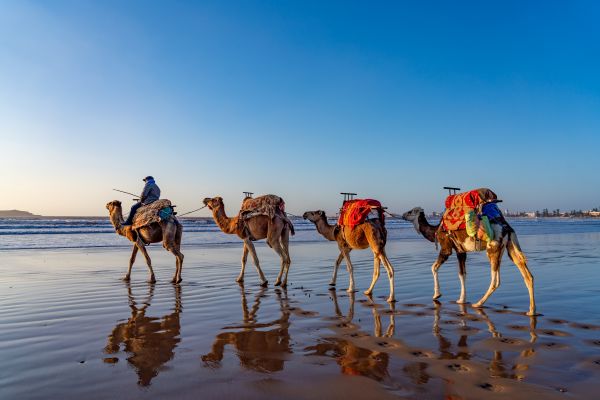essaouira2