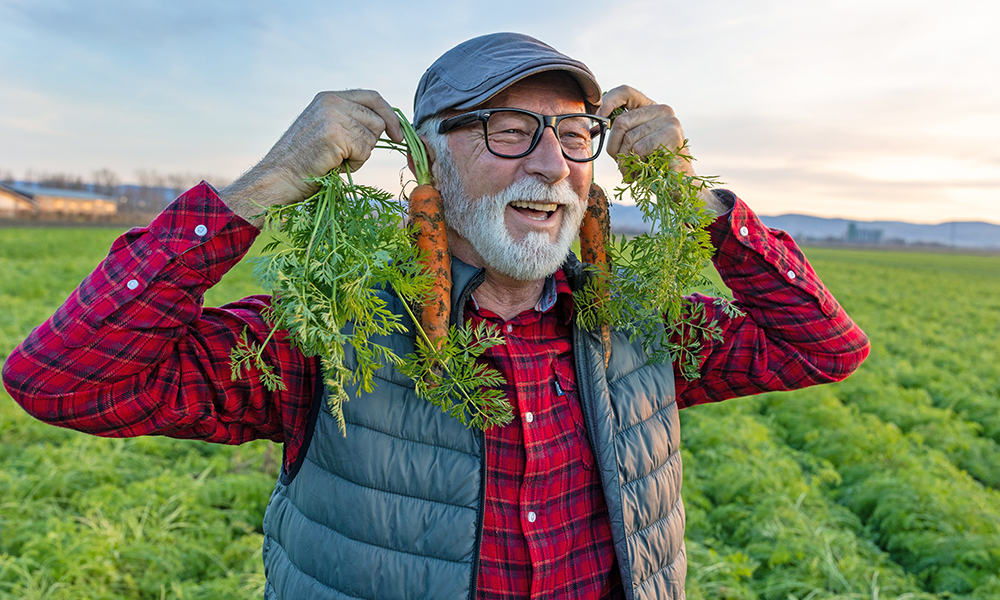funny,senior,farmer,holding,two,fresh,harvested,carrots,over,ears