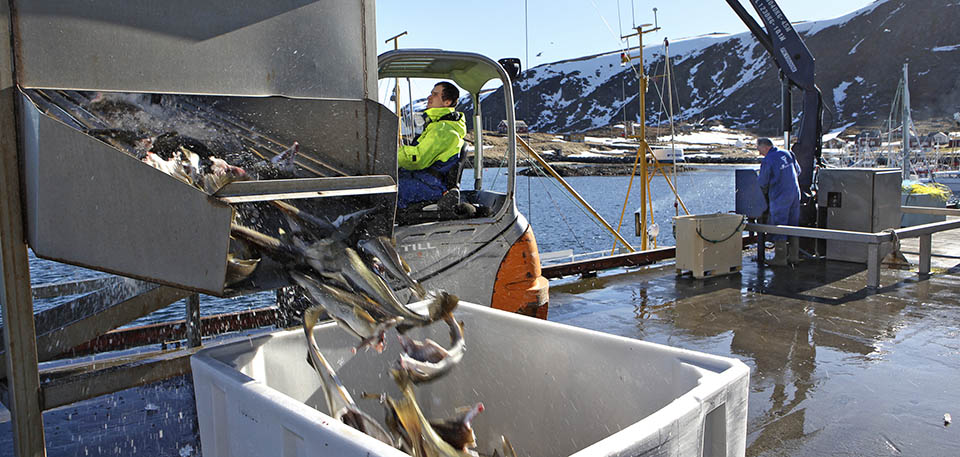 Kystfiskerne kan fremdeles levere fangsten på Ingøy. 